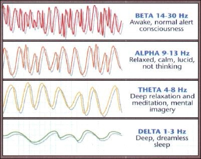 Types of brain waves in EEG