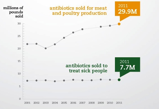Antibiotics in Meat